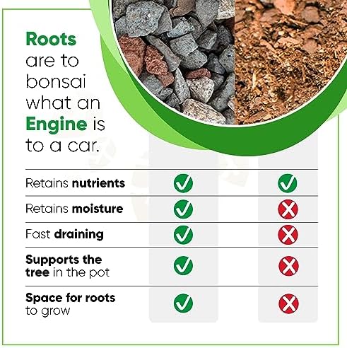 Bonsai Outlet Bonsai Soil Mix - Tinyroots All Purpose Bonsai Soil Mix Ready to Use Blend, Used for All Varieties of Bonsai Trees, 2.5 Gallons - Image 3