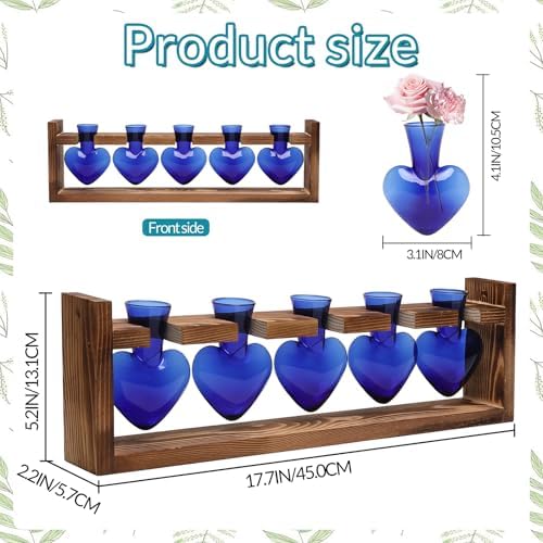 Plant Terrarium Hanging Propagation Stations Gift for Women - Image 3