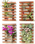ShopLaLa Wall Planters (40cm, 4 Pack) Wooden Hanging Planter for Air Plants by ShopLaLa