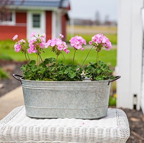 16" Oval Washtub Planter, Aged Galvanized Finish - Image 2