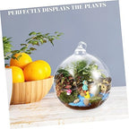 2pcs Glass Globe Hanging Terrarium Vase for Plants - Image 4