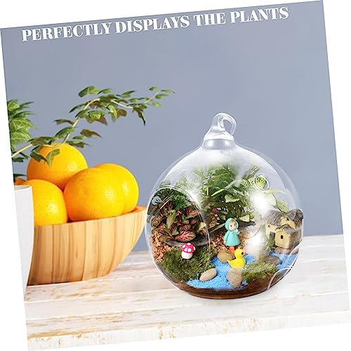 2pcs Glass Globe Hanging Terrarium Vase for Plants - Image 4