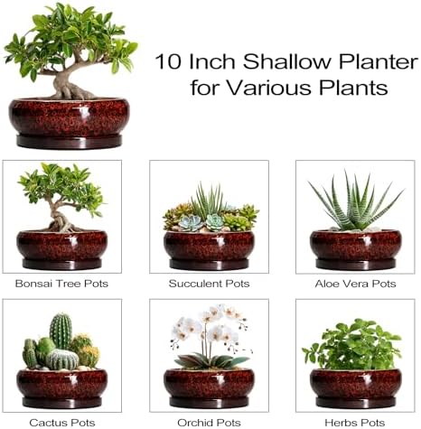 Bonsai Tree Pots - 10 Inch Ceramic Succulent Planters for Indoor Outdoor, Bonsai Pots with Drainage Hole and Saucer, Shallow Round Planter, Planter Bowl, Patio Decor, Gifts for Women, Red - Image 7