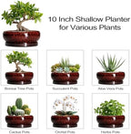 Bonsai Tree Pots - 10 Inch Ceramic Succulent Planters for Indoor Outdoor, Bonsai Pots with Drainage Hole and Saucer, Shallow Round Planter, Planter Bowl, Patio Decor, Gifts for Women, Red - Image 7