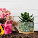 Garden Green Chinoiserie Planter Ceramic Asian Peacock Floral Round Flower Pot with Drainage Holes and Bamboo Tray Pot for Succulents Cactus Garden Windowsill - Image 5