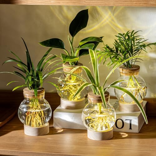 Propagation Stations, Plant Propagation Station with Light Base, Glass Propagation Vases, Hydroponic Vase for Plants, Glass Terrarium for Home Office Windowsill Tabletop Decoration (7) - Image 6