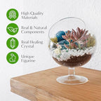 Creations by Nathalie 6 Inch Chalice Terrarium Kit with Live Succulent - Image 3