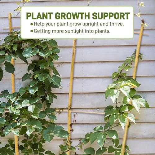Avalution 10 Pack Bamboo Trellis for Climbing Plants, 3 FT Garden Ladder Trellis for Potted Plants Indoor, Fan-Shaped Small Plant Support Trellis for Houseplants Ivy Hoya Vine Monstera - Image 2