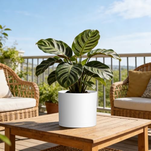 Plant Pots, 10/9/8 Inch 3 Pack Cylindrical Flower Pots with Drainage Holes and Saucers, Plastic Planters for Outdoor Indoor Plants,White - Image 6