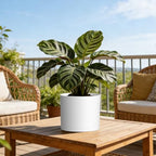 Plant Pots, 10/9/8 Inch 3 Pack Cylindrical Flower Pots with Drainage Holes and Saucers, Plastic Planters for Outdoor Indoor Plants,White - Image 6