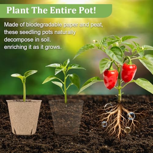 RooTrimmer 3.15 Inch Peat Pots 200 Pcs with 10 Pack 20 Cell Seed Starter Trays, Biodegradable Nursery Pots with Drainage Holes, Reusable Seedling Trays for Vegetable Flower Germination Indoor Outdoor - Image 5
