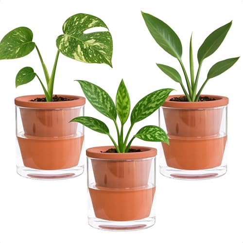 D'vine Dev Self Watering Terracotta Planter Pot, 4 in, 3-Pack, 37-Z-A-1-T by DvineDevPlanterPotsandStand