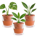 D'vine Dev Self Watering Terracotta Planter Pot, 4 in, 3-Pack, 37-Z-A-1-T by DvineDevPlanterPotsandStand