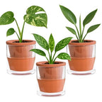 D'vine Dev Self Watering Terracotta Planter Pot, 4 in, 3-Pack, 37-Z-A-1-T by DvineDevPlanterPotsandStand