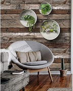 Vandue Modern Home Round Living Wall Mounted Galvanized Steel/Zinc Succulent/Herb Planter - Indoor/Outdoor Living Art Potting Vessel (Aged Zinc, Large) - Image 5