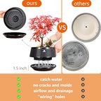 Bonsai Pots with Drainage Tray, Plastic Imitate Ceramic Bonsai Tree Pot with Excellent Airflow, Large Succulent Pots for Indoor Plants, Juniper, Ficus, Chinese Elm, Cactus, 8 Inch, Set of 2 - Image 3
