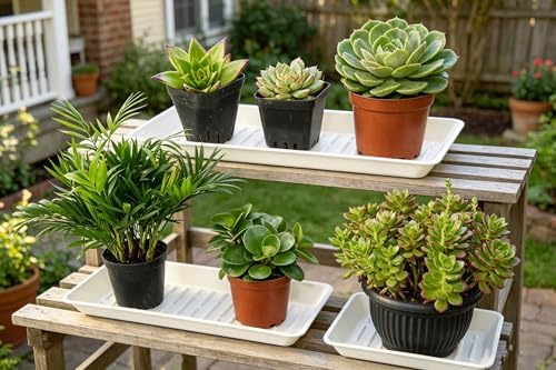 2 Pack Plastic Plant Tray Saucer Rectangular 20 21 Inch, Planter Trays Saucers Indoor Outdoor, Water Drip Tray for Flower Pot, Windowsill, 8.5 x 20.6 Inches, White - Image 6