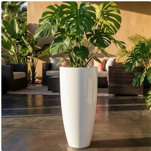 Tall 36" White Fiberglass Planter - Large Modern Lightweight Tapered Round Indoor/Outdoor Elegant Decorative Pot for Plants, Trees & Home Decor - 8" D x 16" W x 36.4" H by RaeLydConcepts