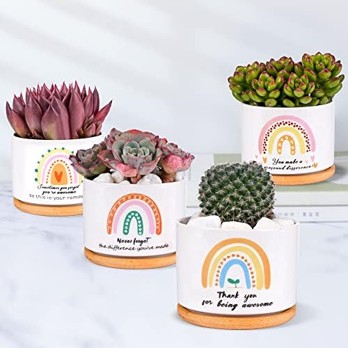 SAIWEILAI Ceramic Succulent Planter Pots Set of 9 with Bamboo Trays, Round Painted Plant Pots for Indoor Desktop Decoration, White - Image 3