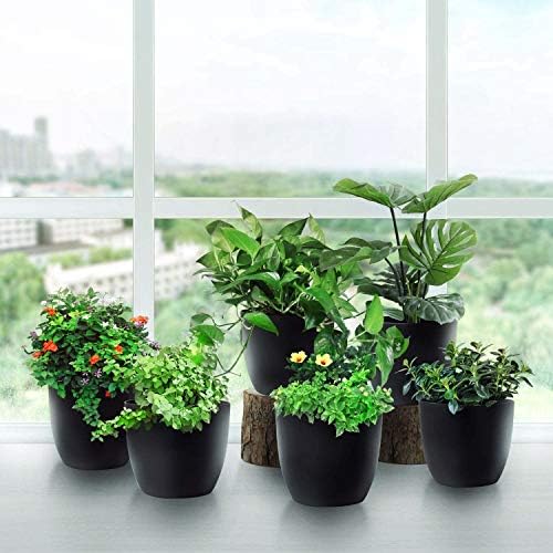 T4U Self Watering Planters Plastic 6 Inch Black Set of 10, Plant Flower Pot Modern Decorative Seeding Nursery Pots Outdoor Indoor Garden for All House Plants Flowers Herbs African Violets - Image 4