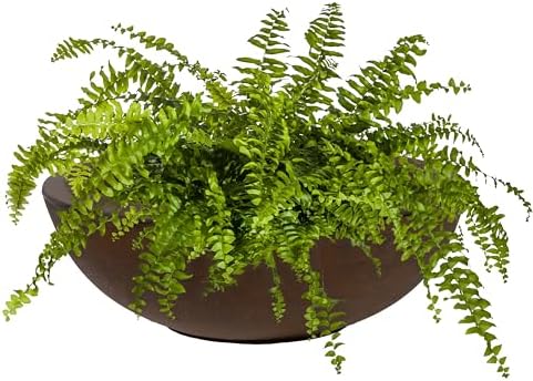 Sunnydaze Percival 20.75" Shallow Outdoor Planter Bowl, Rust by SunnydazeDecor