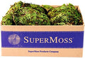 SuperMoss (21881 Royal Pool Moss Preserved – Vibrant Green Decorative Moss for Indoor Plants, Terrariums, Fairy Gardens & Vase Filler, 1,560 cu in, Fresh Green by SuperMoss