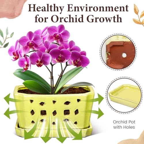 Teenyyou 9.5" Orchid Pot Ceramic with Hole Saucer for Repotting, Yellow - Image 4