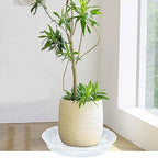 2 Pack Plant Saucer Drip Tray 19 inch, Large Heavy Sturdy Plastic Planter Flower Pot Saucers for Indoor Outdoor Garden, Plant Water Drip Trays for pots (19" 2Pack, Clear) - Image 5