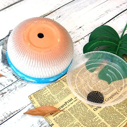 8 Inch Succulent Pot with Drainage and Saucer Glazed Terracotta Round Ceramic Succulent Planter Cactus Bonsai Plant Pot (Light Blue) - Image 3