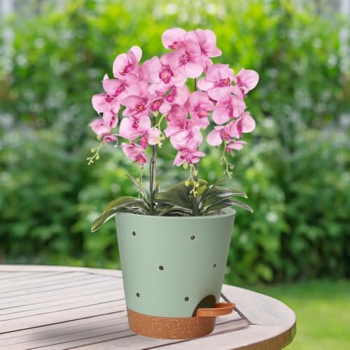 Orchid Pot, 6 Inch Orchid Pots with Holes, 6 Pack Self Watering Plant Pots - Image 6