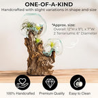 Cape Craftsmen 12" Hand-Blown Blue Tinted Bubble Glass On Natural Teak Driftwood Terrarium Kit | Home Décor Indoor Planter with Stand | Pot for Succulent and Plants - Image 2