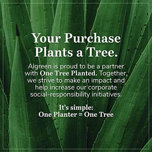 Algreen Wall Planter - 3-Tier with Drain - 11.5 x 32.5 x 8 in - Wood - Image 7