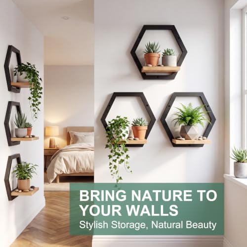 Novabright 6 Pcs Solid Wood Wall Plant Holder Shelf Indoor, Black - Image 6
