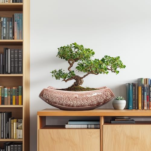 Large Bonsai Pots - 18 Inch Ceramic Succulent Pots with Drainage Hole, Bonsai Planter for Indoor Outdoor Plants, Ceramic Flower Pot, Decorative Plant Pot, Home Decor, Birthday Gifts, Red-Brown - Image 3