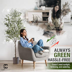 CAPHAUS 6FT Artificial Olive Tree Potted, UV Resistant Indoor Faux Plant - Realistic for Living Room, Office Decor, Housewarming Gift (72 Inch) - Image 5