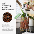 Pot & Pebble C9 Glass Propagation Station, Metal Base - LECA Orchid Vase - Image 4