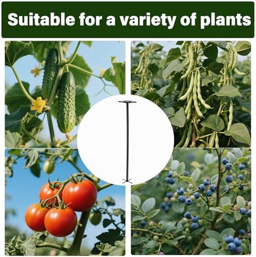 2Pack 63" Dragon Fruit Trellis – Sturdy Support for Climbing Plants - Image 4