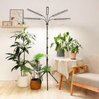 FOXGARDEN Grow Lights for Indoor Plants 5-Head Full Spectrum with Tripod Stand, Timer, Dimmable Flexible Goosenecks for Indoor Potted Plants - Image 2