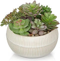 DILATATA Artificial Succulent Plants in Pot 5.5 Inch Fake Succulents Arrangement Potted Plant in White Ceramic Planter Bowl for Home Office Desk Shelf Living Room Bedroom Bathroom Decor by DILATATA