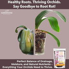 GARDENWISE Orchid Potting Mix – Orchid Bark, Sphagnum Moss, Tree Fern & Perlite for Repotting Phalaenopsis Orchids, Indoor Plants, Orchid Soil Medium – Sustrato para Orquídeas (4 Quart) - Image 5