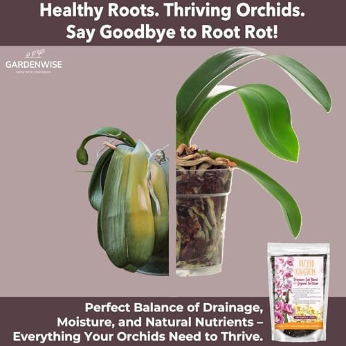 GARDENWISE Orchid Potting Mix – Orchid Bark, Sphagnum Moss, Tree Fern & Perlite for Repotting Phalaenopsis Orchids, Indoor Plants, Orchid Soil Medium – Sustrato para Orquídeas (4 Quart) - Image 5