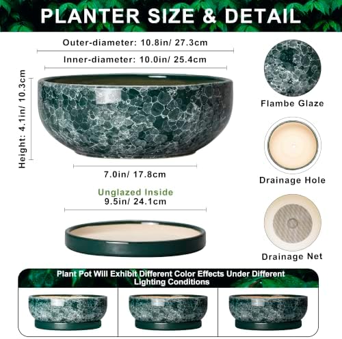 Succulent Pots Ceramic, 10 Inch Bonsai Planter, Droplet Green - Image 2