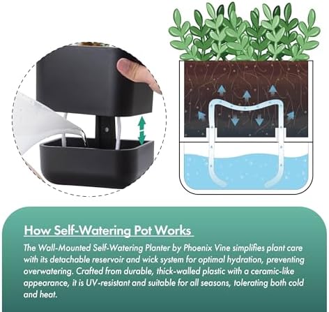 Phoenix Vine 6.5 Inch Wall Mounted Self-Watering Planter Pot for Indoor Houseplants and Herbs | Hanging Planter for Window Sills, Bathroom Walls, Home & Office Décor, Black, Set of 2, 01-C-E-2 - Image 4