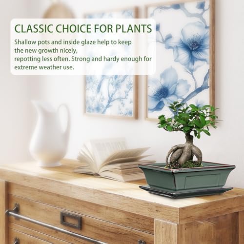 Villa Como Set of 2 Bonsai Pots with Drainage Tray, 7.5" Green Glazed - Image 4