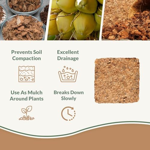 Organic Coco Chips for Plants (40lbs) - Coco Coir Chips - Coconut Husk Chips for Potting Soil, Garden Soil, & Seed Starter Soil - Coconut Mulch for Garden - Compressed Coconut Chips for Plants - Image 2