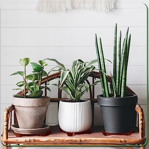 Panelee 6 Pcs Plant Pot Stand Riser 12 inch Plastic Under Plant Stand Adjustable Cuttable Prevent Water Damage for Outdoor Indoor Pot Holder Garden Patio(Brown) - Image 4