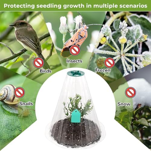 Cloches for Plants, Transparent Plant Covers, Garden Cloches with Humidity Domes, Securing Pegs and Plant Labels, Reusable Plant Protectors from Animals Plant Bell Cover (Transparent-30pcs-M) - Image 7