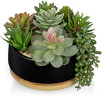 Artificial Succulent Plants in Pot 5.5 Inch Fake Succulents Arrangement Potted Plant in Black Ceramic Planter Bowl with Wood Saucer for Home Office Desk Shelf Living Room Bedroom Bathroom Decor by DILATATA