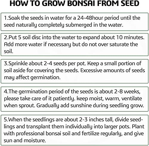 Meekear 5 Bonsai Tree Kit Complete Plant Growing Tools, Grow in Pot Indoor Bonsai Tree Starter Kit, Great Home Gardening Potted Plants DIY Gift for Adults - Image 6