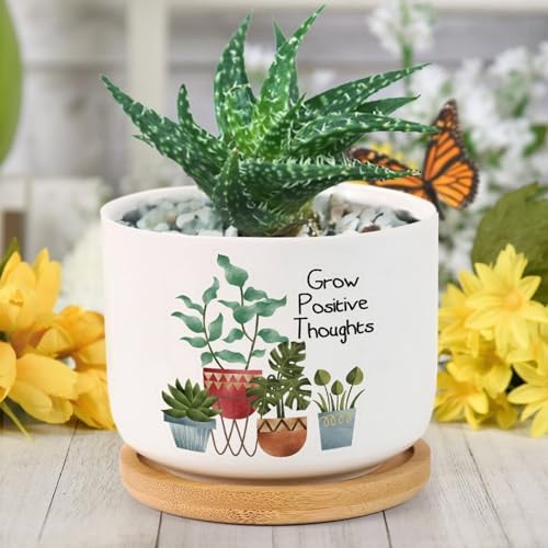 DreamAutumn Pack of 3 Grow Positive Thoughts Planter Ceramic Round Plant Pots with Drainage Holes and Bamboo Tray Planting Small Flower Pots for Home Windowsill Desk Garden Indoor Outdoor Use by DreamAutumn